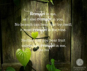 ... bear fruit by itself; it must remain in the vine. Neither can you bear