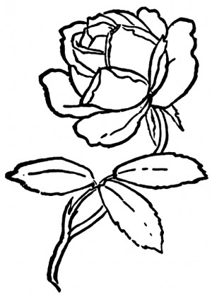 rose-clip-art-outline-Rose-Coloring-Pages18.gif