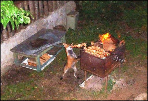 10 great barbecue grilling aprons for men