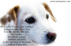 Dog Quotes Wallpapers. QuotesGram