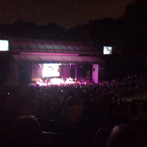 vine by Country Sayings