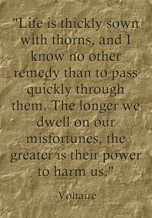 THE ULTIMATE LIFE BLOG