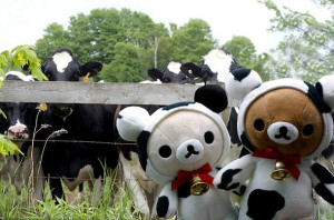 cow, cute, korilakkuma, love, rilakkuma, teddy