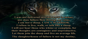 warrior wisdom amp the warrior lifestyle