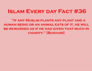 Islamic Quotes on Charity ..