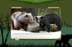 This comprehensive , easy-to-use on-line bear essentials program