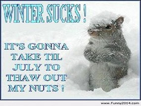 Quotes About Funny Cold Weather Sayings