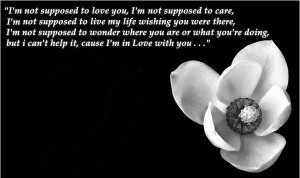 Posted by jennifer devi