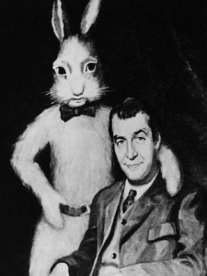 Wisdom and Humour Quotes