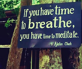 Meditation Quotes & Sayings