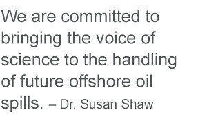 Since the Deepwater Horizon tragedy, several major regulatory and ...