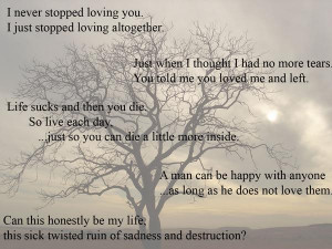 Never Stopped Loving You