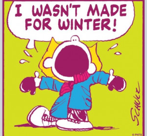 Hate Winter Quotes | Lol I hate winter ! | Laughter is Good for the ...