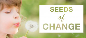 BIPR’s Seeds of Change is our Annual Fundraiser with an attendance ...