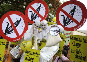 Organized by the ‘March Against Monsanto’ movement, an estimated ...