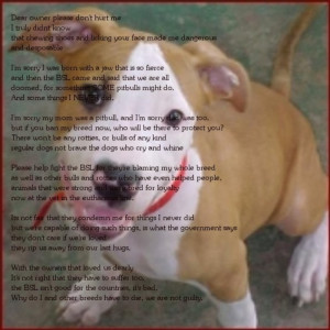 Sorry I'm A Pitbull pic+poem by RENTHEADmeaghan