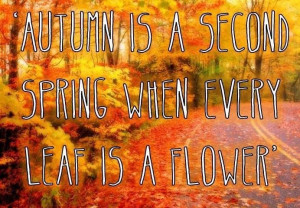 autumn-is-a-second-spring-life-quotes-sayings-pictures.jpg