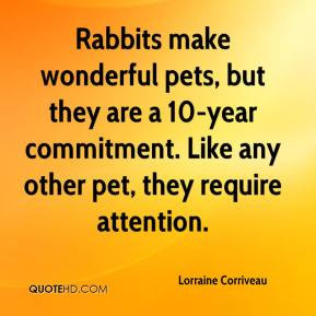 Pet Quotes