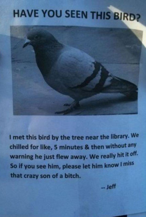 Sign: Have You Seen This Bird?