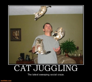 cat-juggling-cat-juggling-cats-funny-humor-demotivational-posters ...