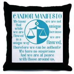 Pretty light blue and white Divergent throw pillow with the book quote ...