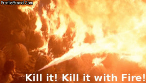 EWW NO KILL IT WITH FIRE. DEAR GOD THAT IS HIDEOUS!
