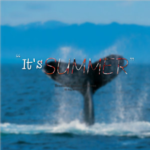 Quotes Picture: it's summer