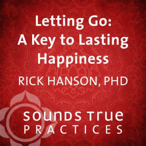 The Language Of Letting Go Hazelden Meditation Series By