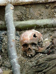 190px-Srebrenica_Massacre_-_Massacre_Victim_2_-_Potocari_2007.jpg