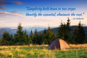 Simplicity boils down to two steps: Identify the essential, eliminate ...