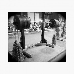 Home / elitefts™ Deluxe Monolift