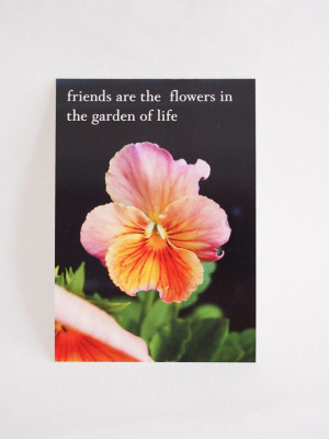 friend quote postcards, friend thank you cards, pansy flower card set ...