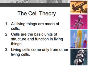 us cell theory scientists cell theory cell theory prokaryotic verses