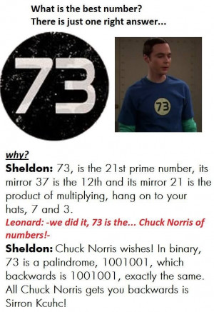 Jim parsons Sheldon cooper everyone why 73 is the best number
