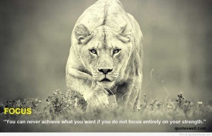 Focus entirely on your strength - quote