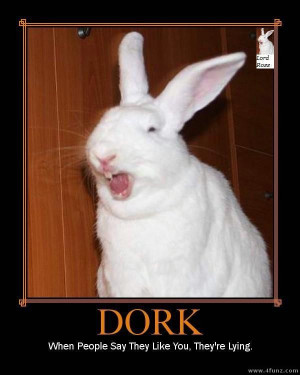 dork rabbit