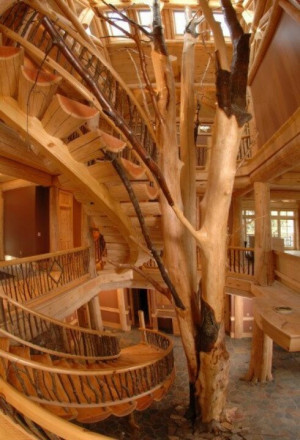 Gorgeous, cool tree house interior