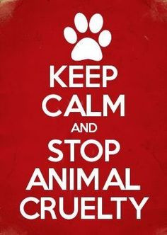 Keep calm and stop Animal Cruelty More
