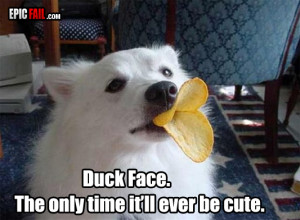 duck face win dog pringles