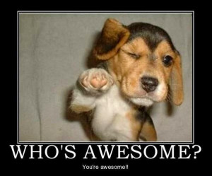 ... little pick me up to get your through Tuesday at work. Who's awesome