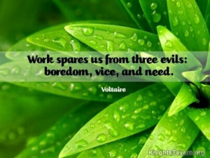 Work spares us from three evils: boredom, vice, and need. Voltaire ...