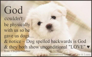 God is dog spelled backwards