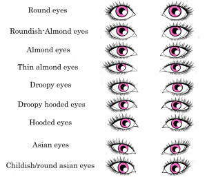 realistic eye shape chart by ninasquirrelly resources stock images ...