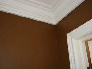 Toronto Painting Contractors go Green with paint options