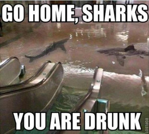 Best Of, “Go Home You’re Drunk” – 28 Pics