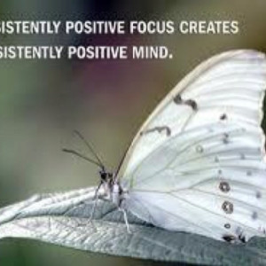 Pinned by Pollyanna Flores