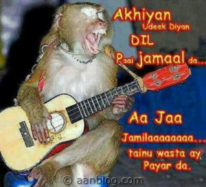 Famous Pakistani Love Song Sing by A Monkey. Funny song by monkey ...