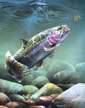 Underwater Paintings, animal & wildlife paintings, animal & wildlife ...