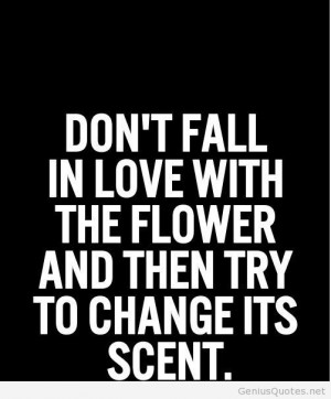 Dont fall in love quote