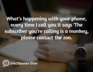 ... 'The subscriber you're calling is a monkey, please contact the zoo